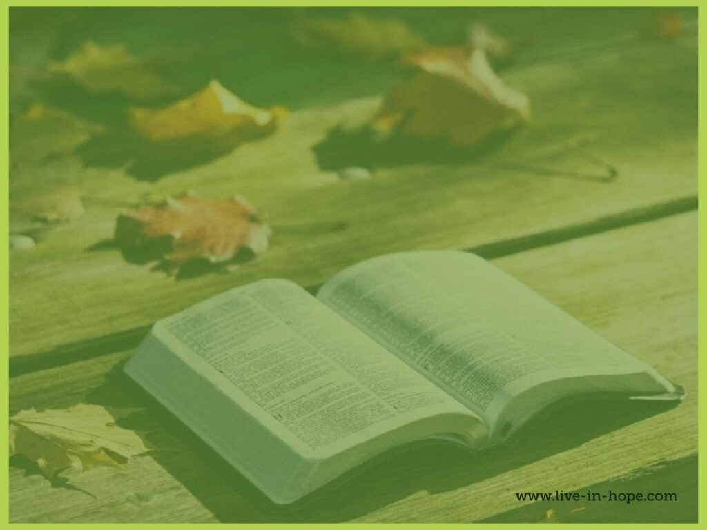 The Word Of God